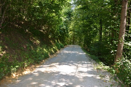 Žlebe - klanec (5)